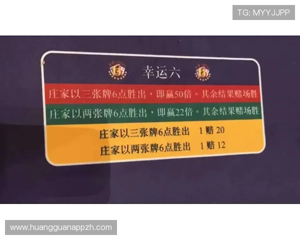 澳门赌场玩法入门指南：详细介绍不同玩法的操作流程及技巧建议